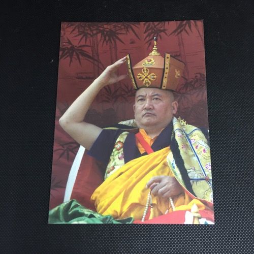 HE Gyaltsab Rinpoche