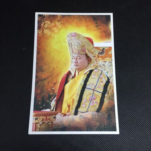 HE Gyaltsab Rinpoche (2)